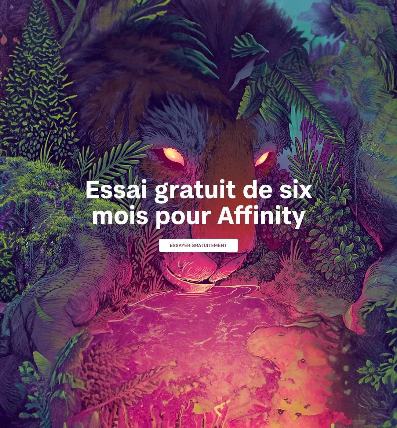 Essai gratuit Affinity six mois