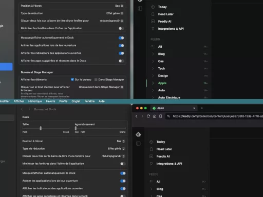 Comparaison réglages Dock et navigateur sur MacOS
