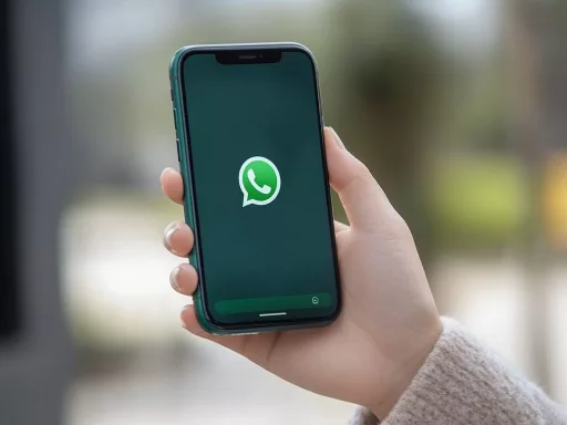 Main tenant smartphone avec logo WhatsApp visible.